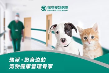 瑞派宠物医院管理系统
